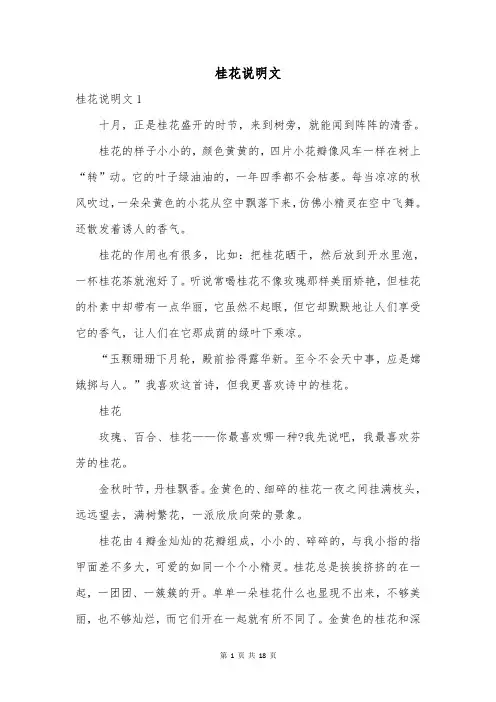 桂花说明文
