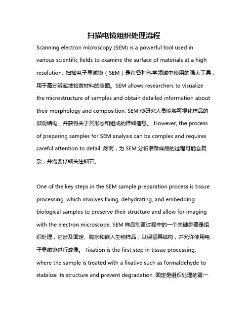 扫描电镜组织处理流程