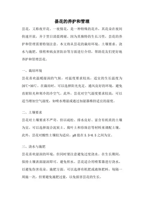 昙花的养护和管理
