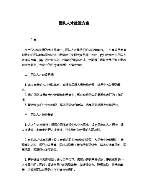 培养团队人才建设方案