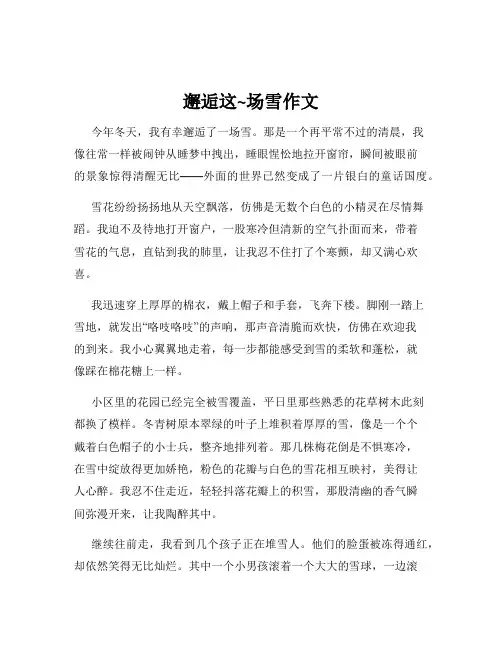 邂逅这~场雪作文