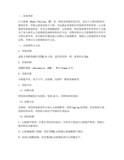 动物实验心衰实验报告