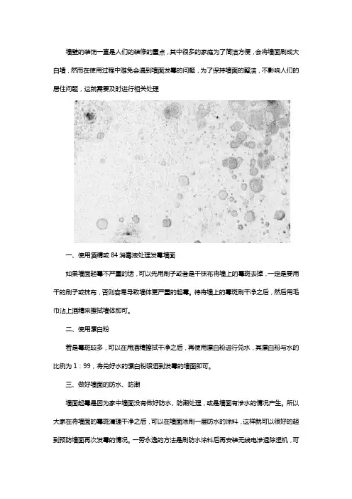 墙发霉了怎么清理