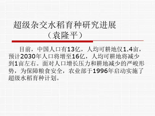 超级杂交水稻育种研究进展精品PPT课件