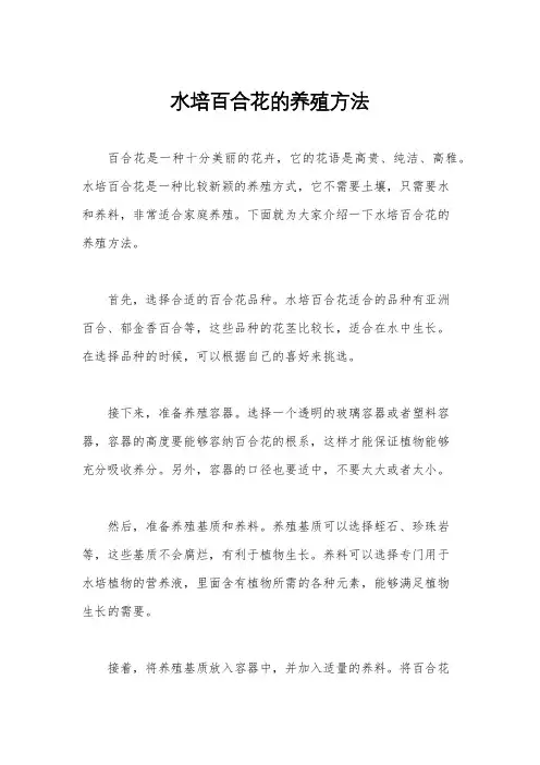 水培百合花的养殖方法