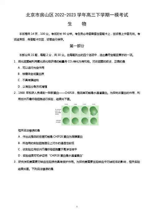 北京市房山区2022-2023学年高三下学期一模考试生物试卷(word版,含答案)