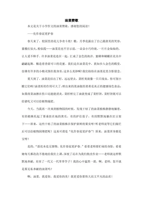 油菜赞歌_小学作文