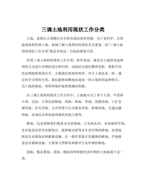 三调土地利用现状工作分类
