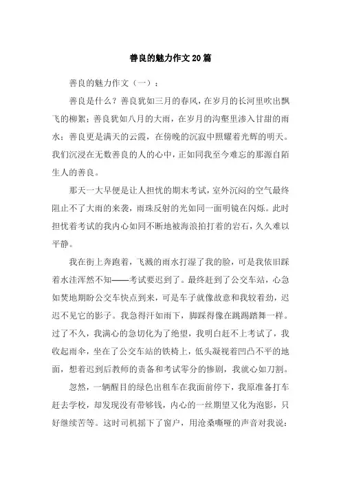 善良的魅力作文20篇