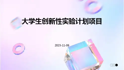 大学生创新性实验计划项目