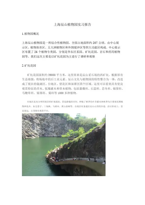 上海辰山植物园实习报告