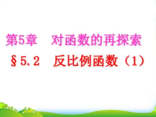 青岛版九年级数学下册第五章《反比例函数(1)》课件