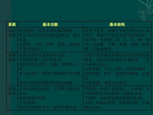 动物学 中山大学实验动物学课件