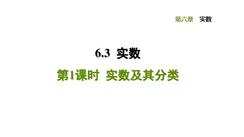 人教版七年级数学下册第6章习题课件6.3.1  实数及其分类