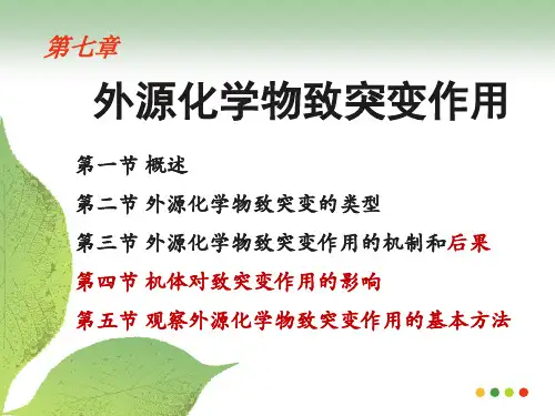 外源化学物致突变作用2