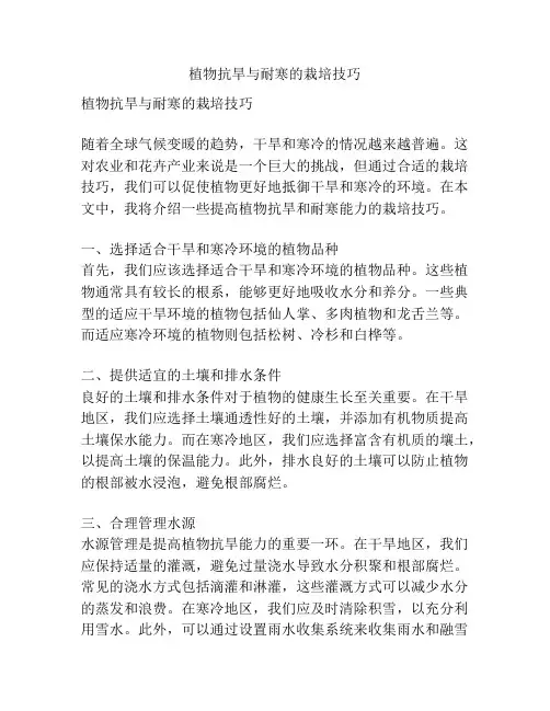 植物抗旱与耐寒的栽培技巧