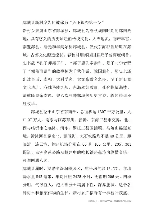郯城县新村乡为何被称为“天下银杏第一乡”