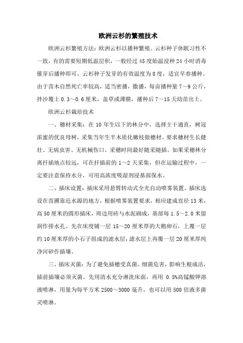 欧洲云杉的繁殖技术