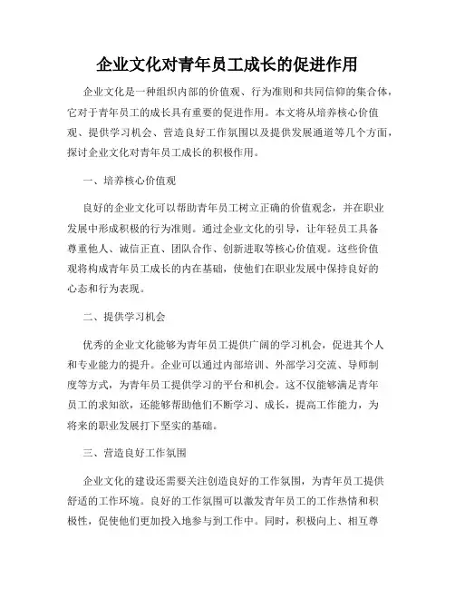 企业文化对青年员工成长的促进作用
