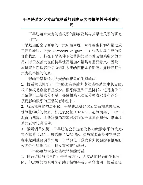干旱胁迫对大麦幼苗根系的影响及其与抗旱性关系的研究