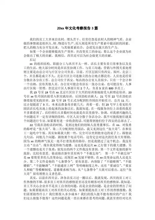 20xx年文化考察报告3篇