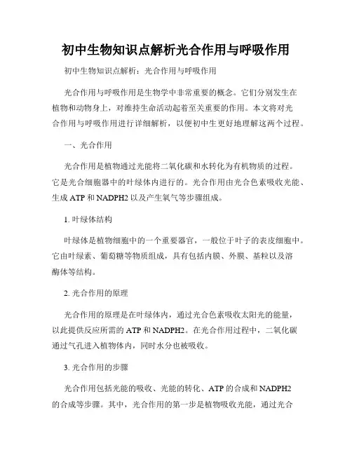 初中生物知识点解析光合作用与呼吸作用
