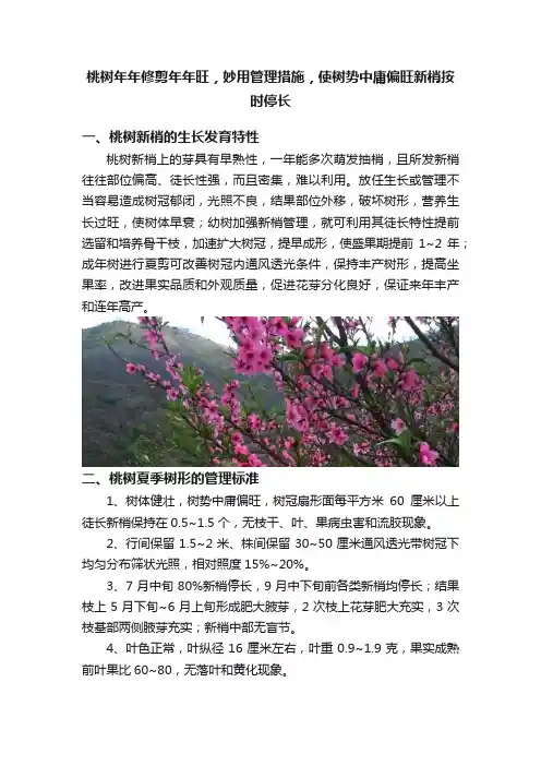 桃树年年修剪年年旺，妙用管理措施，使树势中庸偏旺新梢按时停长
