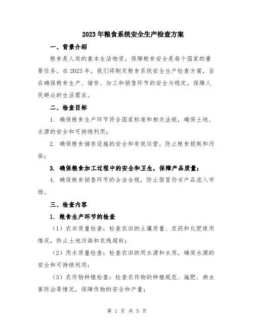 2023年粮食系统安全生产检查方案