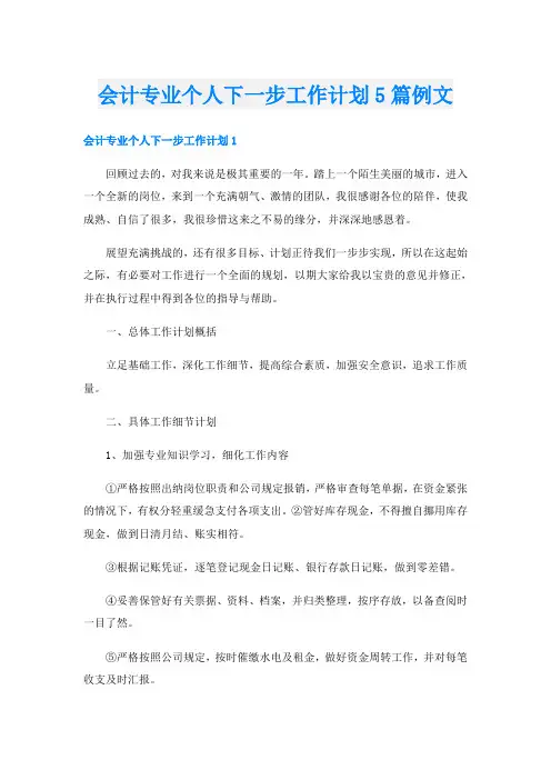 会计专业个人下一步工作计划5篇例文