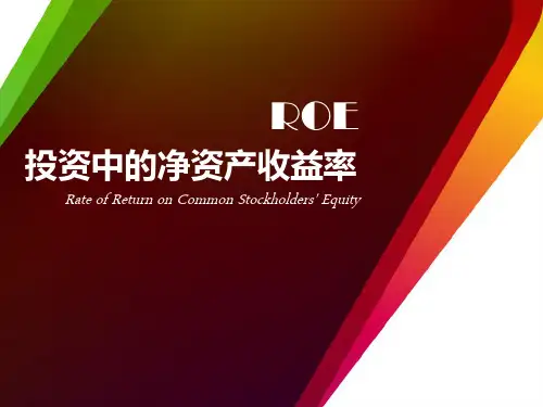 投资中的净资产收益率.ppt