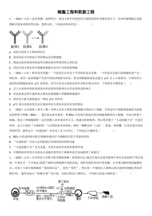 备考2024年高考生物一轮复习知识点精炼专题33 细胞工程和胚胎工程(精练)含详解