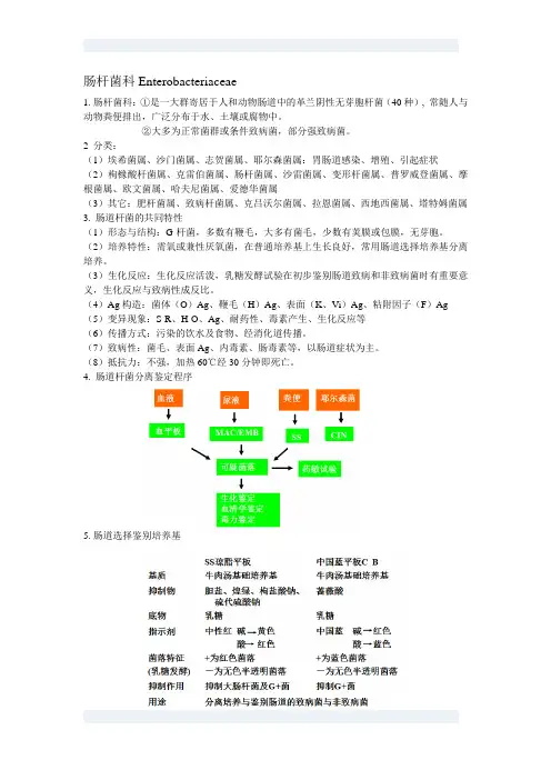肠杆菌科