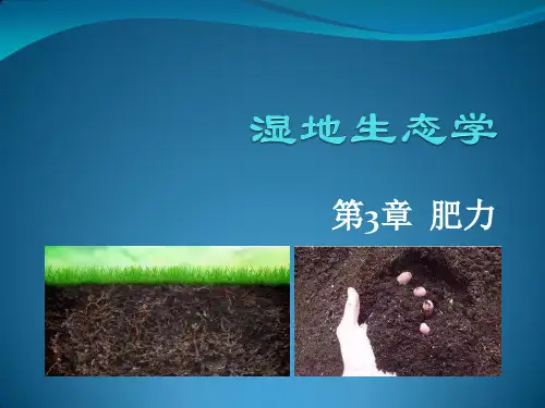 湿地生态学  第三章  肥力