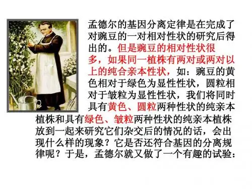 2.1.2孟德尔的豌豆杂交实验(二)