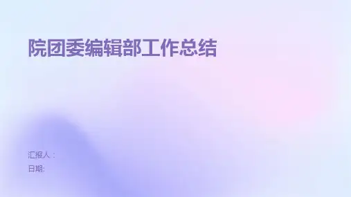 院团委编辑部工作总结