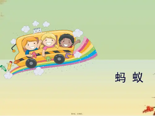 三级上册科学课件《蚂蚁》教科版(共15张PPT)
