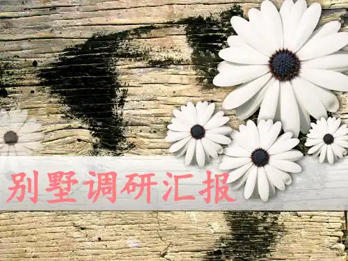 文丘里母亲别墅分析