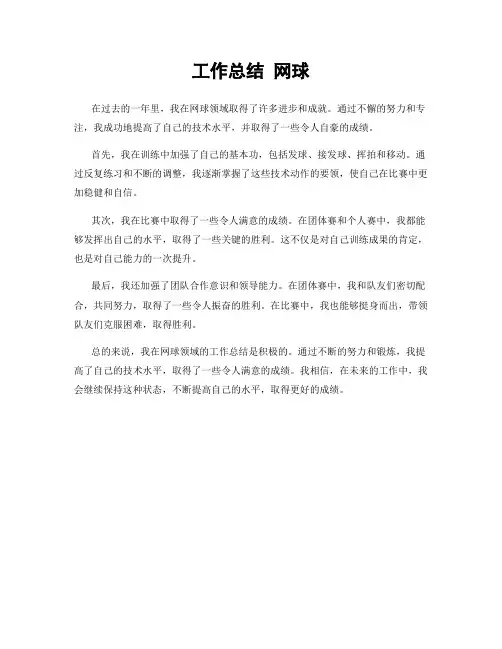 工作总结 网球