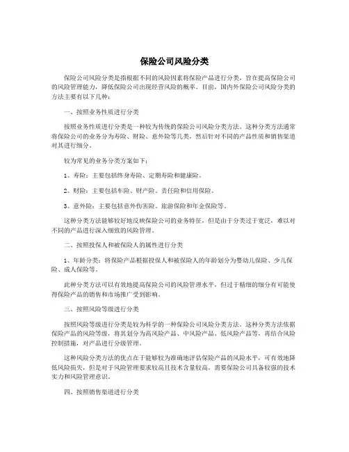 保险公司风险分类
