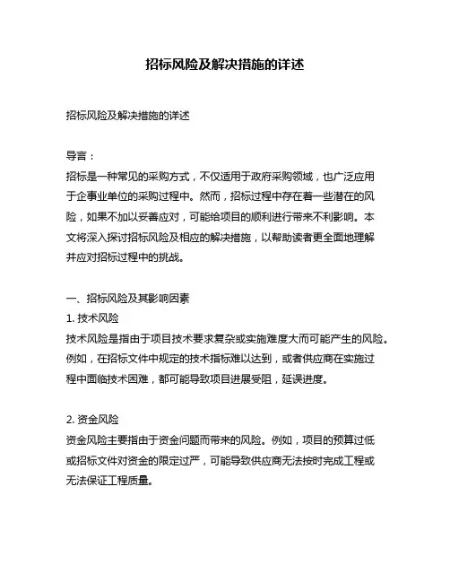招标风险及解决措施的详述