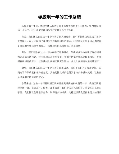 橡胶坝一年的工作总结