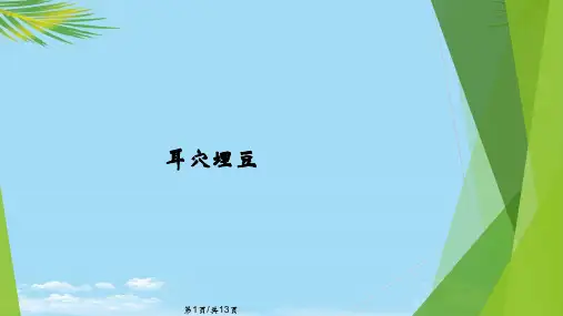 耳穴埋豆PPT全面版