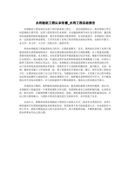 水利枢纽工程认识有感_水利工程总结报告