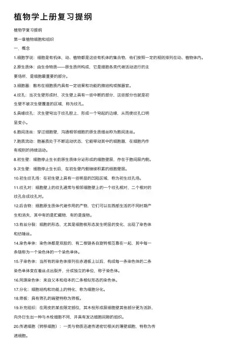 植物学上册复习提纲
