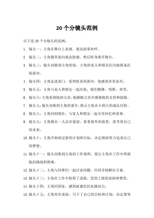 20个分镜头范例