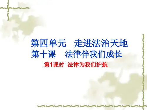 道德与法治部编版《法律为我们护航》课件-完美版1