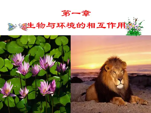 生物与环境的相互作用