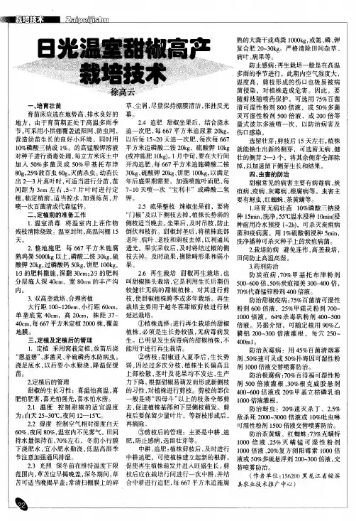 日光温室甜椒高产栽培技术