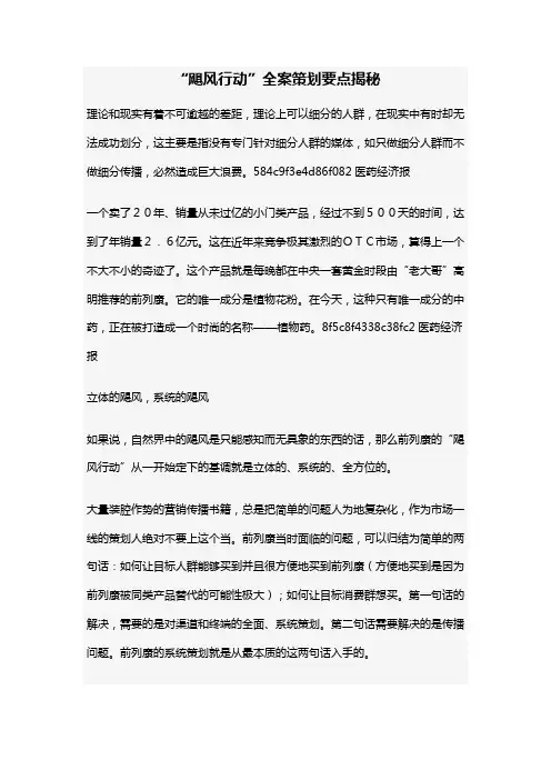 “飓风行动”全案策划要点揭秘