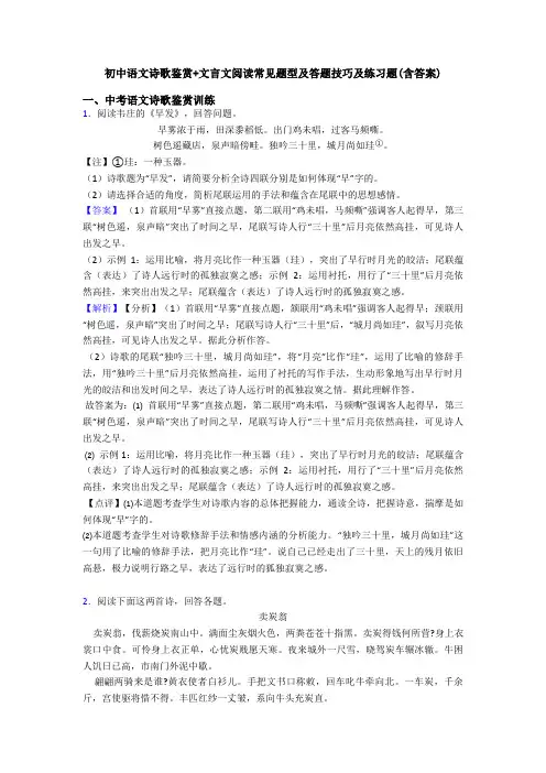 初中语文诗歌鉴赏+文言文阅读常见题型及答题技巧及练习题(含答案) (25)